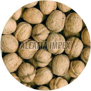 Chile Walnut With Shell, Color : Brown, Certification : FSSAI