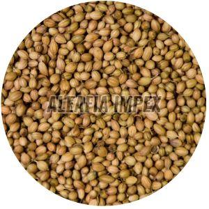 Organic Coriander Seeds Raw, Grade Standard : Food Grade for Cooking