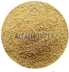 Organic Poppy Seeds, Color : Creamy Raw