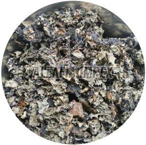 Organic Stone Flower, Color : Black Dried