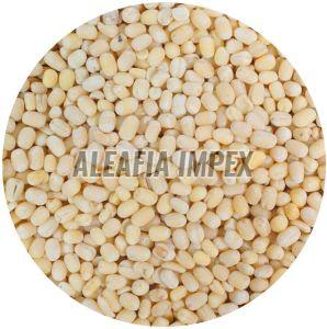 Organic White Whole Urad Dal, Speciality : Glyten Free