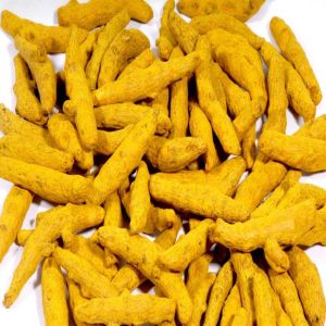 Dry Turmeric Finger