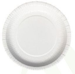 10 Inch Round Disposable Plates