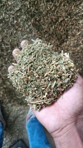 Ashwagandha Extract (Panchang)