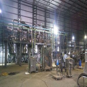 Brazil Wood Extraction Plant