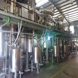 Caralluma Fimbriata Extract Plant