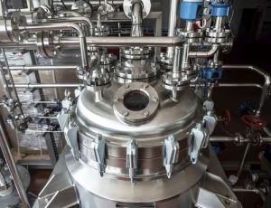 Cucumber Extraction Plant