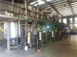 Grape Seed Extract Plant