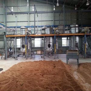 ST. John'S Wort Extraction Plant