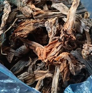 Brown Guggul Gum, Form : Solid, Purity : 99%