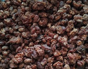 Kinema Soy Bean Kinema Soy Bean