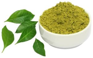 neem leaves powder