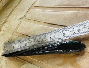 6 Inch Murel Fish Seeds, Packaging Type : Oxygenated Bags