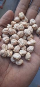 White Chickpeas, Packaging Size : 25Kg, Packaging Type : PP Bag
