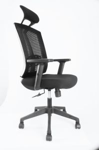 Executive Office Chair