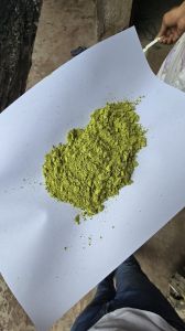 Blended Moringa Leaves Powder, Packaging Type : Plastic Bag
