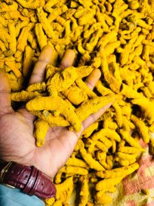 Natural Turmeric Finger, Packaging Size : 25Kg, 50Kg Food Grade