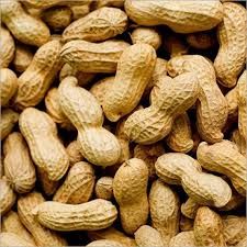 Whole Groundnut Kernels
