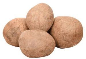 Dried Whole Coconut, Color : Brown, Packaging Type : Vacuum-sealed