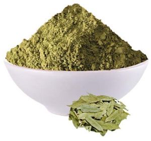 Green Senna Leaves Powder, Packaging Size : 25-50kg