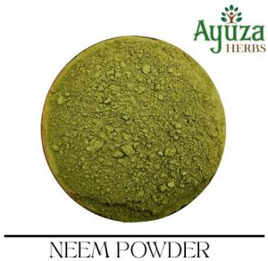 neem leaves powder