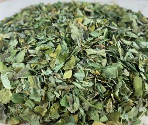 Dry Moringa Leaves, Color : Green, Packaging Size : 5-25kg