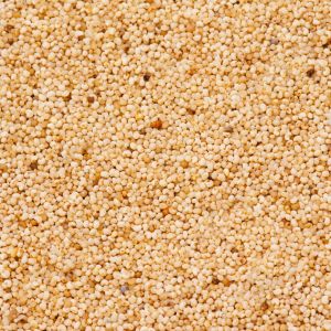 Food Grade Poppy Seeds, Packaging Size : 25-50kg 9%