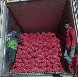 Red Onion, Packaging Size : 25Kg Net Bag