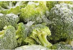 A Grade Frozen Broccoli for Cooking, Shelf Life : 12 Months