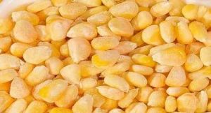 A Grade Frozen Sweet Corn Kernels, Shelf Life : 12 Months