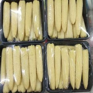 Frozen Baby Corn, Color : Yellow