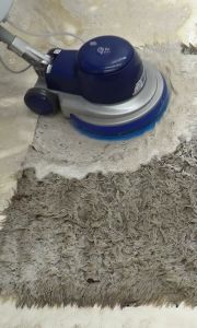 Carpet Cleaning