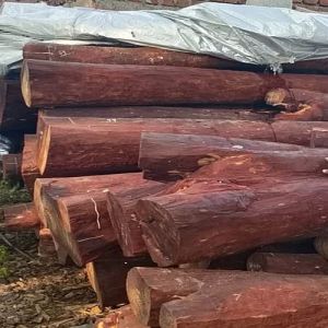 Wooden & Bamboo Handicrafts