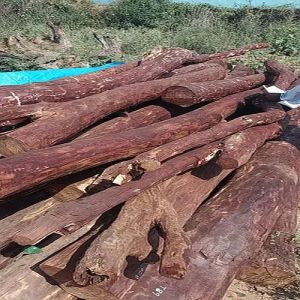 Wooden & Bamboo Handicrafts