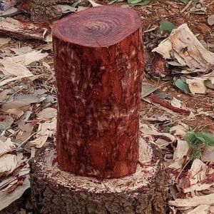 Round Red Sandalwood Logs