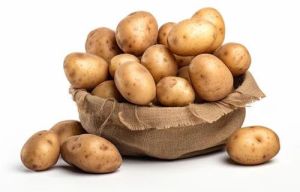 Fresh Brown Potato