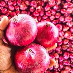 Fresh Nasik Red Onion, Packaging Size : 25-50kg Gunny Bag for Cooking