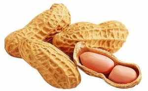 Cleaned Shelled Groundnut Peanut, Color : Light Brown for Oil, Snacks