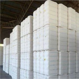 Compressed Cotton Bale, Color : White, Purity : 99%