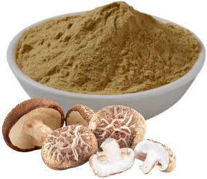 Fine Grade Mushroom Powder, Packaging Size : 1kg, 5kg
