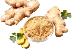 Light Brown Dried Ginger Powder, Packaging Type : Sealed Pouch