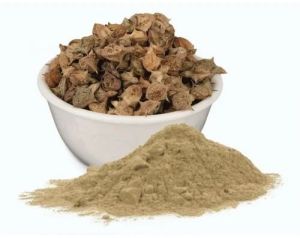 Dried Gokhru Powder