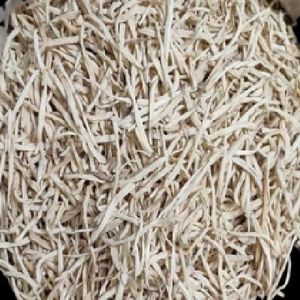 Dried Safed Musli Root, Color : White, Form : Loose
