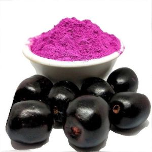 Jamun Powder