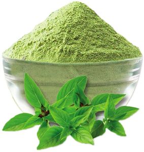 Green Tulsi Leaf Powder, Grade Standard : Food Grade for Medicinal