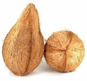 A Grade Brown Coconut, Form : Solid, Packaging Type : Bags