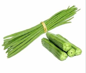 Green A Grade Fresh Drumstick Plastic Bag for Cooking