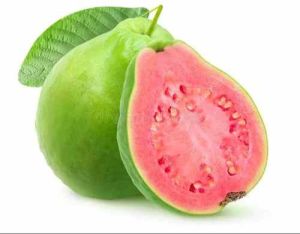 Organic A Grade Fresh Guava, Packaging Size : 5Kg, 10Kg