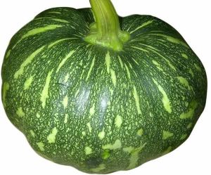 A Grade Fresh Pumpkin, Color : Green, Weight : 2-3 Kg for Cooking