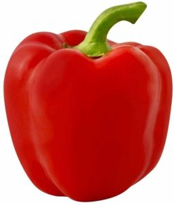 A Grade Red Capsicum, Packaging Type : Bag
